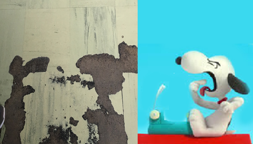 snoopy